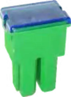 Main Fuse With Out Leg