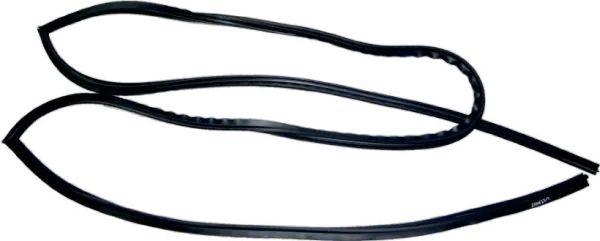 Front Glass Moulding Figo