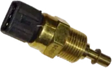 Thermostat Switch Accent